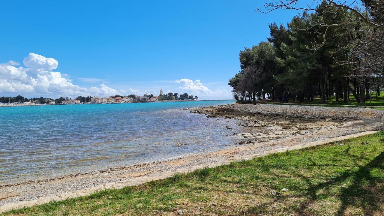 Apartments Kivi Novigrad  Exterior photo