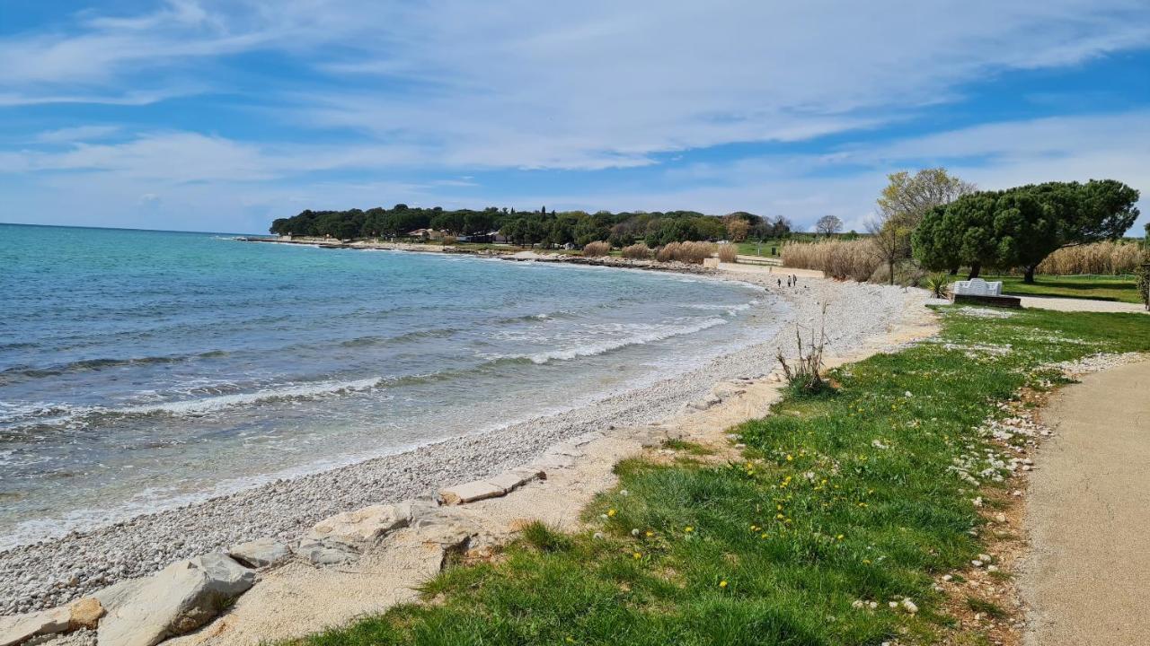 Apartments Kivi Novigrad  Exterior photo